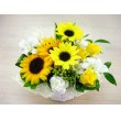 東京都府中市Ｆ　レモンの花　シトラスレモンクリーム