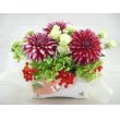 東京都府中市Ｆ　レモンの花　シャワーカシス