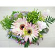 東京都府中市Ｆ　レモンの花　グリーン＆ピンキー