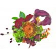 東京都府中市Ｆ　レモンの花　セレブリックワイン